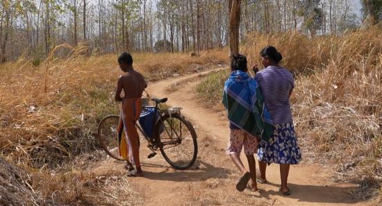 Family’s Fight Against Drought and Wild Elephants